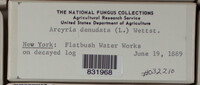 Image Associated With the Occurence